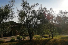 Agriturismo Fattoio alle Ripe - Fienile, Donnini